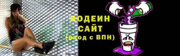 ECSTASY Богданович