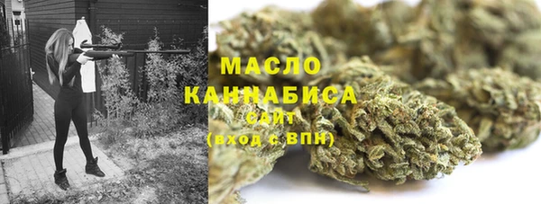 ECSTASY Богданович