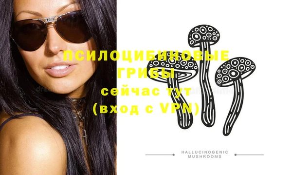 COCAINE Богородицк