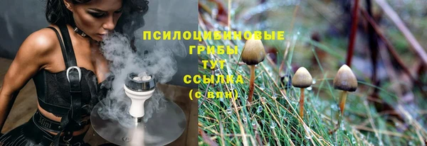 ECSTASY Богданович